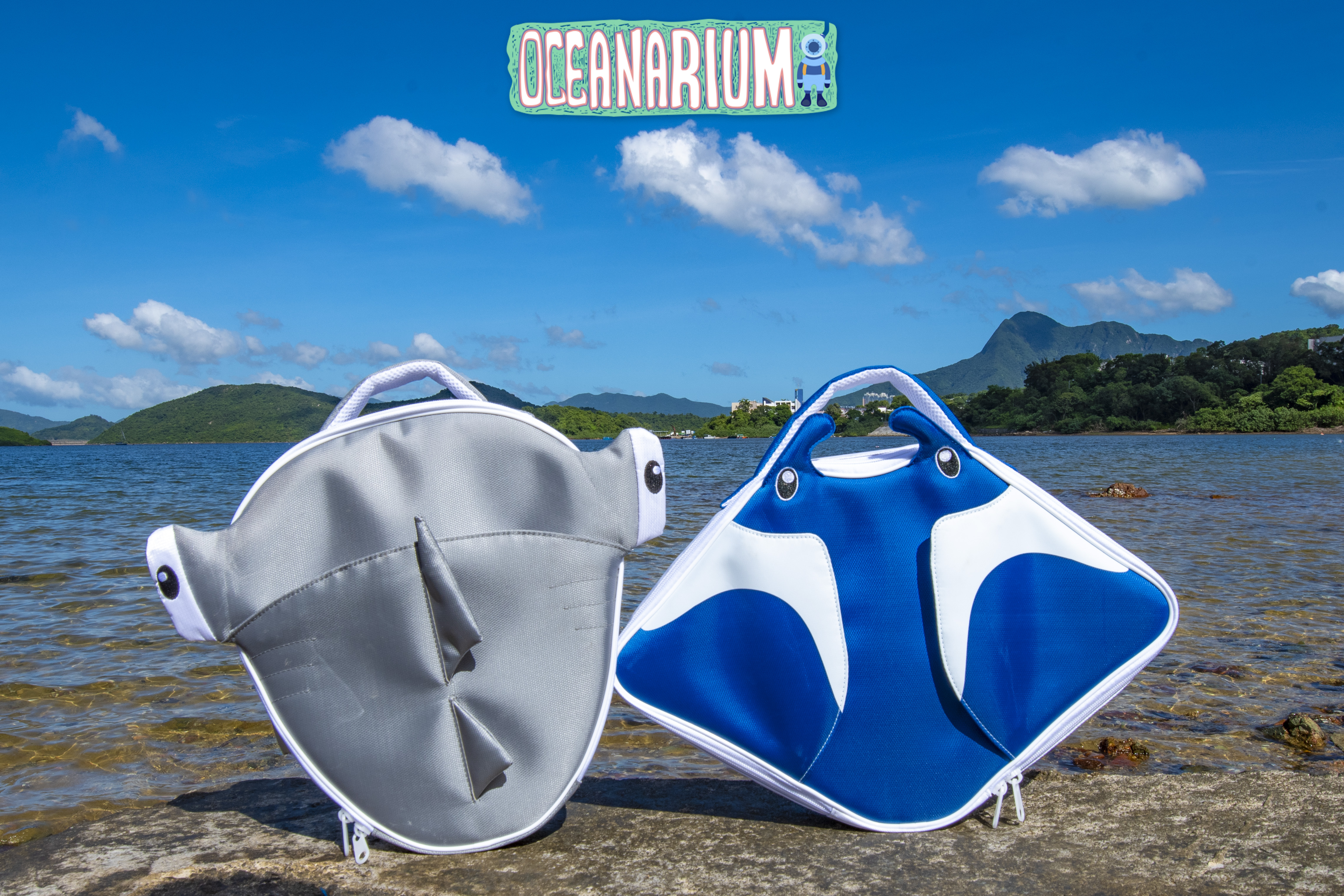 Regulator Bag Regulator Bag