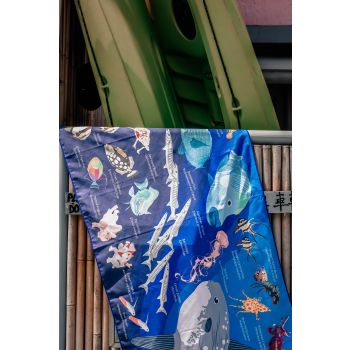 T03 Mola & Coral fish identification *80cm x 140cm*
