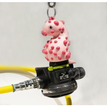 F13 pygmy seahorse octopus holder